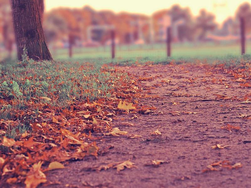 海外梯子VPN全球服务器覆盖地图